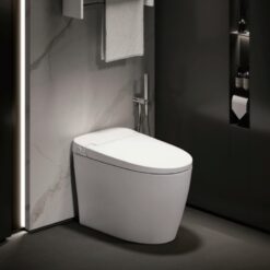 Sanitary ware, smart toilet automatic flushing toilet Chinese toilet factory manufacturer