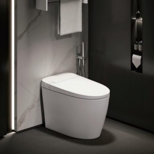 Sanitary ware, smart toilet automatic flushing toilet Chinese toilet factory manufacturer