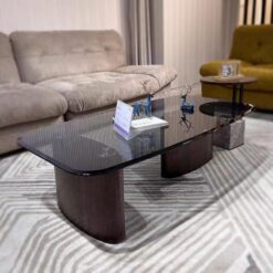 Minimalist Tempered Glass Coffee Table Combination Modern Simple Living Room Home Light Luxury Smoked Wood Coffee Table